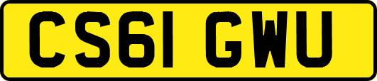 CS61GWU