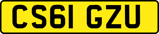 CS61GZU