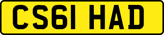 CS61HAD