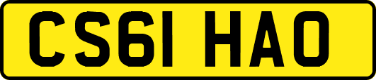 CS61HAO