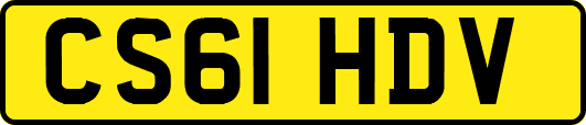 CS61HDV