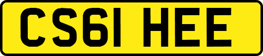 CS61HEE