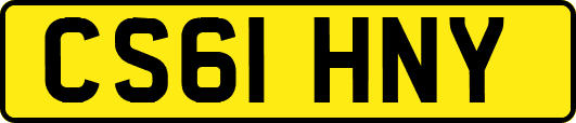 CS61HNY