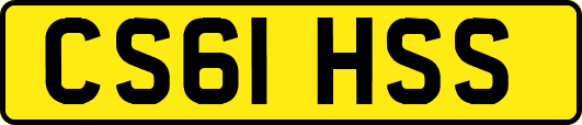 CS61HSS