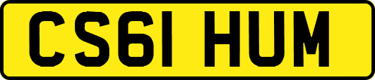 CS61HUM