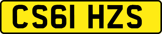 CS61HZS