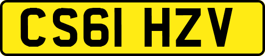 CS61HZV