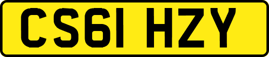 CS61HZY