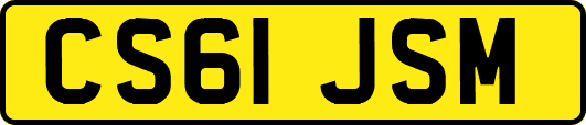 CS61JSM