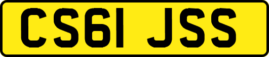 CS61JSS