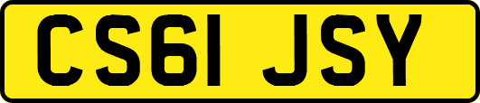 CS61JSY