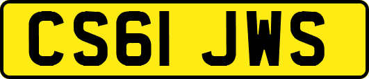 CS61JWS
