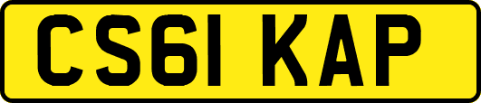 CS61KAP