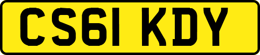 CS61KDY