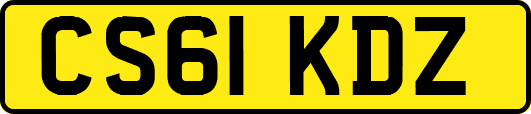 CS61KDZ