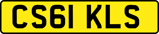 CS61KLS