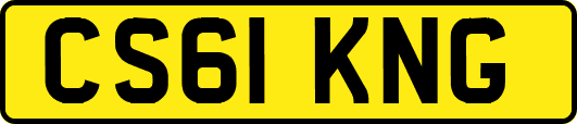 CS61KNG