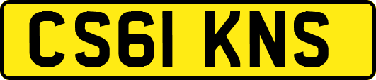 CS61KNS