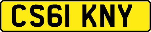 CS61KNY