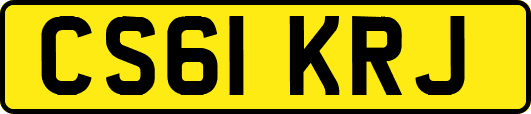 CS61KRJ