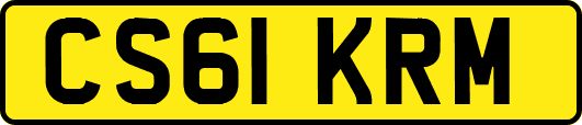 CS61KRM