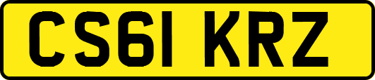 CS61KRZ