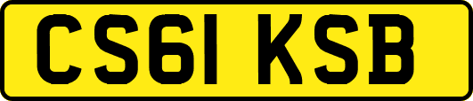 CS61KSB