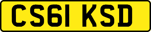 CS61KSD