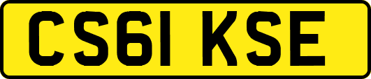 CS61KSE