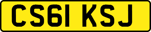 CS61KSJ
