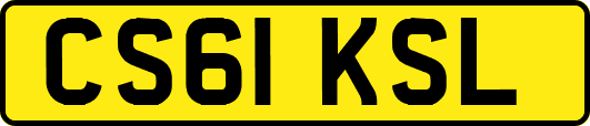 CS61KSL
