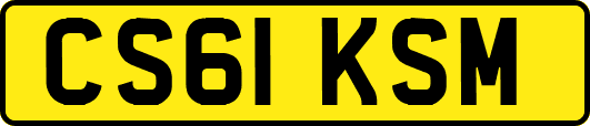 CS61KSM