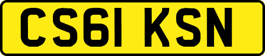CS61KSN