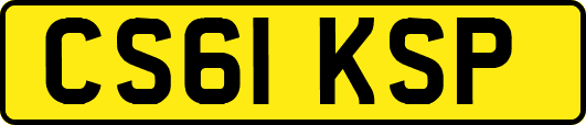 CS61KSP