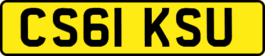 CS61KSU