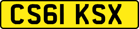 CS61KSX