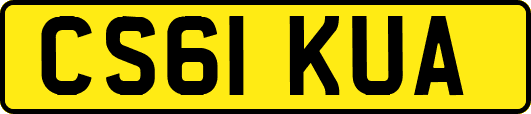 CS61KUA