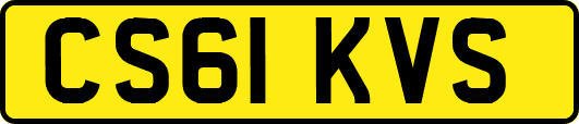 CS61KVS