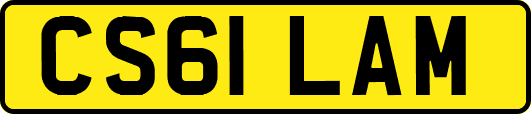 CS61LAM