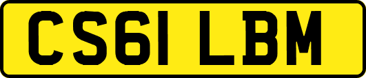 CS61LBM