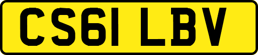 CS61LBV