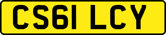 CS61LCY