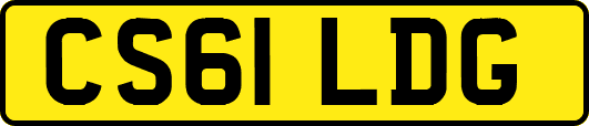 CS61LDG