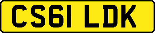 CS61LDK