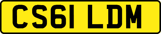 CS61LDM