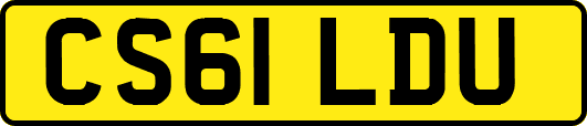 CS61LDU