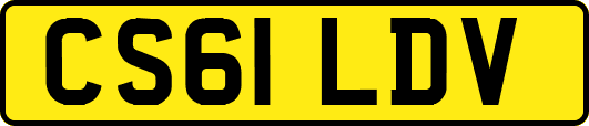 CS61LDV