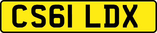 CS61LDX