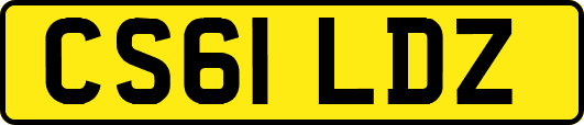 CS61LDZ