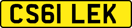 CS61LEK